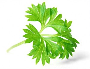 Parsley health benefits