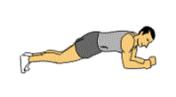 The plank abs exercise